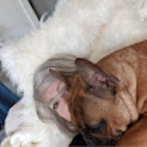 Meet your Posher, Kelly